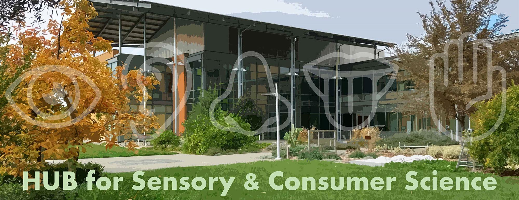 A visual of RMI Sensory Building