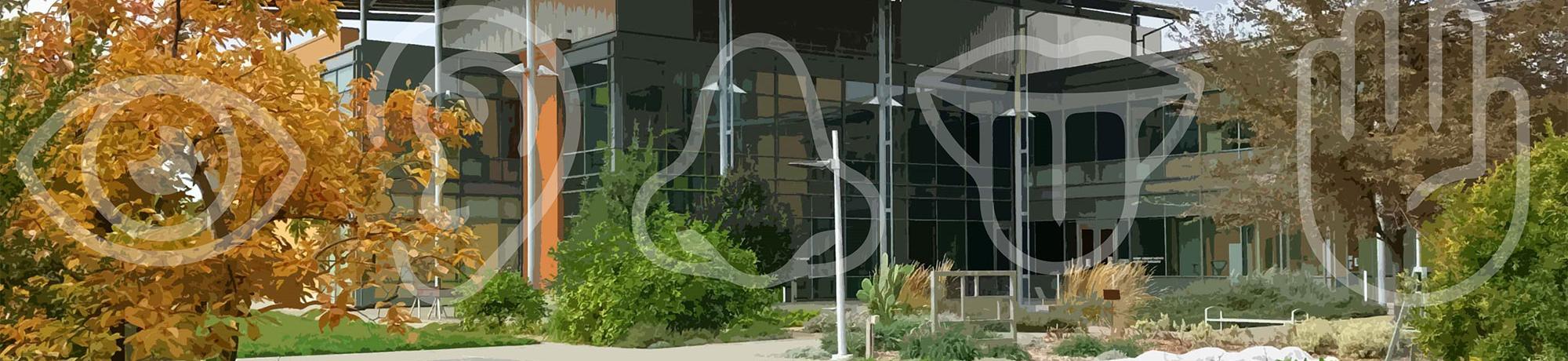 A visual of RMI Sensory Building